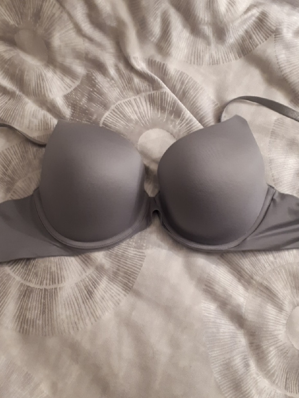 aerie Light Gray 'Sunnie' 36C